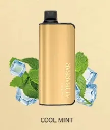 Cool Mint