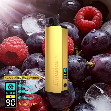 ALIBARBAR PRO 12000 Ice Adjust Raspberry Grape - Local Vape Supply Australia