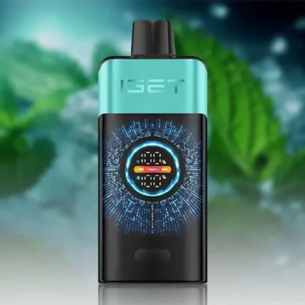 IGET One 12000 Mountain Spring Mint ice - Local Vape Supply Australia
