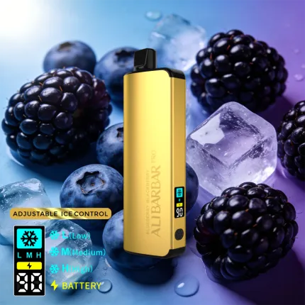 ALIBARBAR PRO 12000 Ice Adjust Blueberry-Blackberry - Local Vape Supply Australia