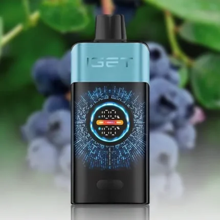 IGET One 12000 Blueberry Ice - Local Vape Supply Australia