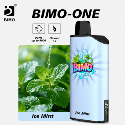 BIMO ONE 9000 Ice Mint